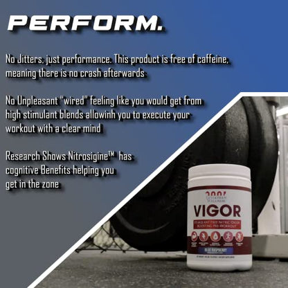 Leviathan Wellness Vigor - Stimulant Free, Nitric Oxide Boosting Pre-Workout Powder Leviathan WellnessUS supplements