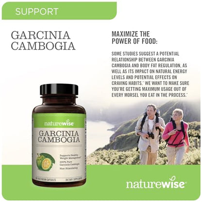 Naturewise Garcinia Cambogia with Pure Garcinia Cambogia Extract, 60% HCA Concentrati NatureWiseUS supplements