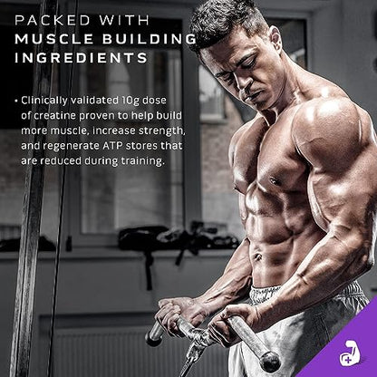 Muscletech Mass Gainer Mass-Tech Extreme 2000, Muscle Builder Whey Protein Powder MuscleTechUS supplements