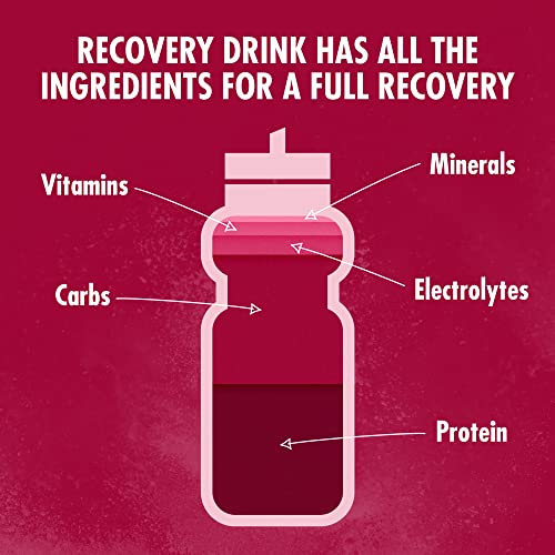 HIGH5 Recovery Drink | Whey Protein Isolate | Promotes Recovery | (Berry, 450g) HIGH5US supplements