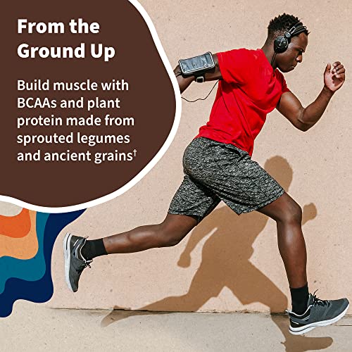Garden of Life Vegan Protein Powder - 22g Raw Plant Protein, BCAAs, Probiotics Garden of LifeUS supplements
