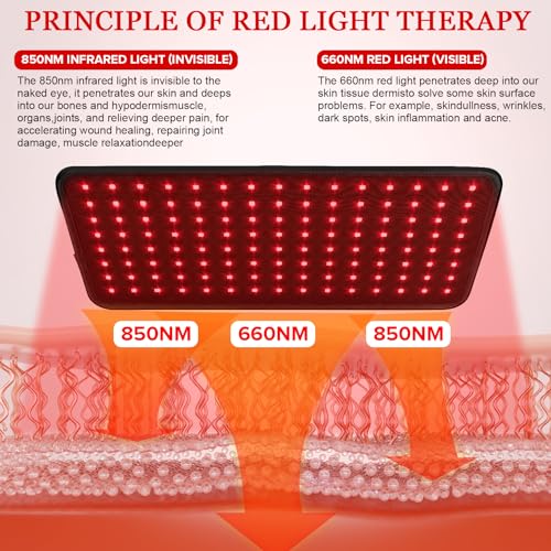 Yofalo 660nm LED Red Light and 850nm Near Infrared Red Light Therapy Belt Device for Body Pain Waist yofaloAu supplements
