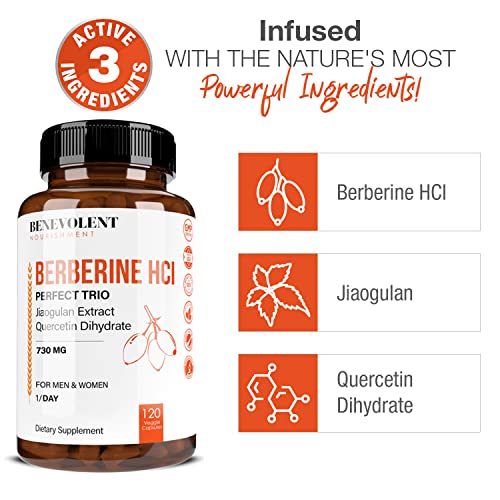 Premium Berberine HCL 730mg - 120 VCAPS Perfect Trio Complex with Non-GMO Jiaogulan Benevolent NourishmentUS supplements