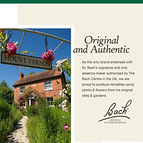 Bach Original Flower Remedies, Walnut for Adapting to Change (Non-Alcohol Formula) BachAu supplements