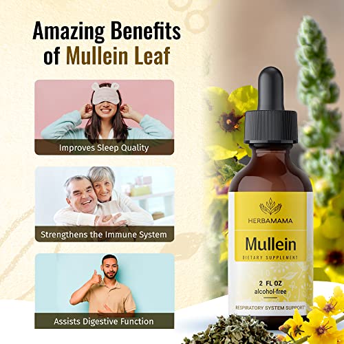 Mullein Leaf Tincture - Lung Cleanse - Vegan Lung Detox - Respiratory Health HERBAMAMAAu supplements