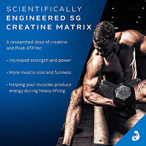 Creatine Powder | MuscleTech Cell-Tech Elite Creatine Powder | Post Workout Recovery MuscleTechUS supplements