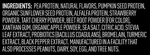 Vega Premium Sport Protein Berry Protein Powder, Vegan, Non GMO, Gluten Free Plant VegaUS supplements