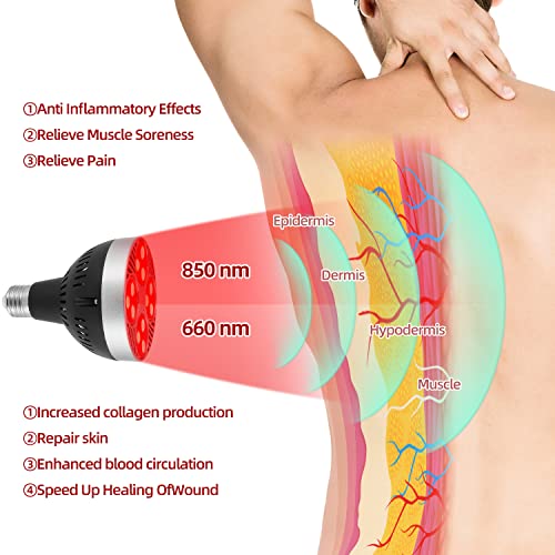 Red Light Therapy Lamp 24 LED Used for Red Light for Body and Face 660nm Red and 850nm Msupps.comAu supplements