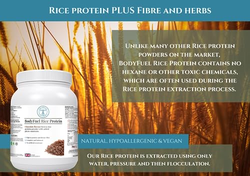 Complementary Supplements | BodyFuel Brown Rice Protein Powder Plus Chicory, Green Tea Complementary SupplementsAu supplements