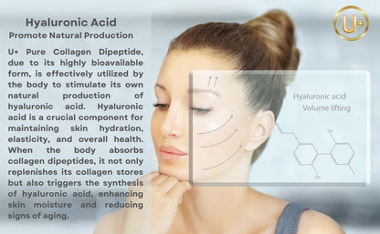 U+ Pure Collagen Dipeptide Supplement - Advanced Hydrolyzed Collagen Powder for Skin, Hair U+ Pure CollagenUS supplements