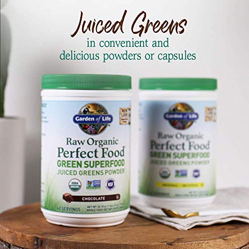 Garden of Life Raw Organic Perfect Food Green Superfood Juiced Greens Powder - Chocolate, 60 Servings, Non-GMO, Gluten Free, Vegan Whole Food Dietary Supplement Plus Probiotics, Enzymes Garden of LifeAu supplements