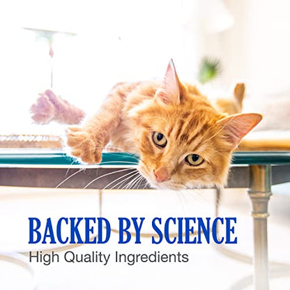 Nutramax Cobalequin B12 Supplement for Cats and Small Dogs, 45 Count (Pack of 1) Nutramax LaboratoriesUS supplements