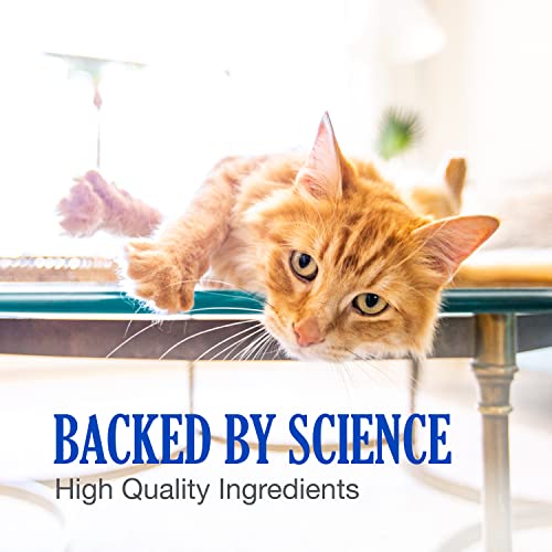 Nutramax Cobalequin B12 Supplement for Cats and Small Dogs, 45 Count (Pack of 1) Nutramax LaboratoriesUS supplements