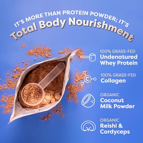 FlavCity Protein Powder Smoothie, Chocolate - 100% Grass-Fed Whey Protein Smoothie FlavCityUS supplements