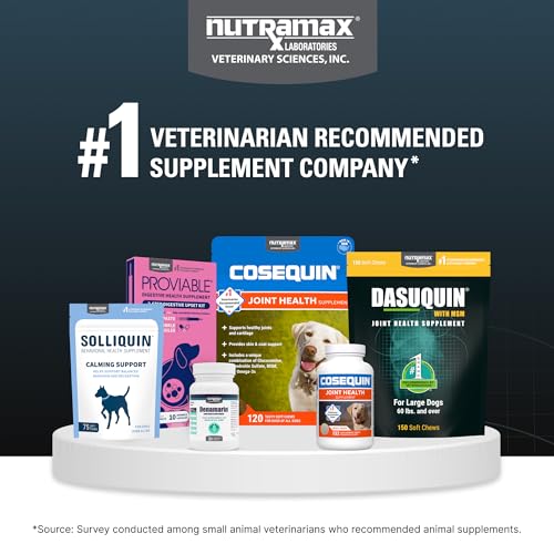Nutramax Dasuquin for Large Dogs, Joint Health Supplement, Contains Glucosamine for Dogs, Plus Chondroitin, ASU, MSM and More, Supports Healthy Joints, Soft Chews, 150 Count Nutramax LaboratoriesAu supplements