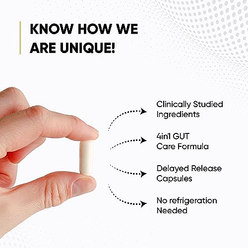 Sandhu's Gut Health - Prebiotic, Probiotic, Postbiotic & L-Glutamine – Digestive Health Sandhu'sUS supplements