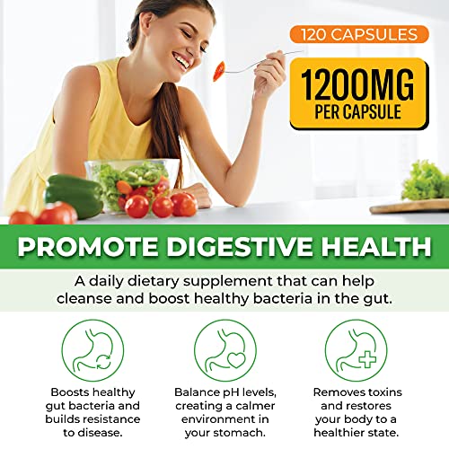 ForestLeaf - Apple Cider Vinegar Capsules with Cayenne Pepper Powder 1200mg ForestLeafUS supplements