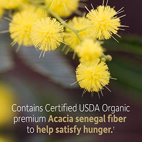 Garden of Life Dr Formulated Organic Fiber Supplement Powder Unflavored, Sugar Free Garden of LifeAu supplements