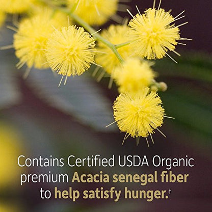 Garden of Life Dr Formulated Organic Fiber Supplement Powder Unflavored, Sugar Free Garden of LifeUS supplements