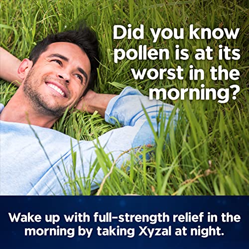 Xyzal Allergy Pills, 24-Hour Allergy Relief, 80-Count, Original Prescription Strength XyzalAu supplements