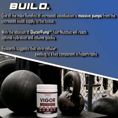 Leviathan Wellness Vigor - Stimulant Free, Nitric Oxide Boosting Pre-Workout Powder Leviathan WellnessAu supplements