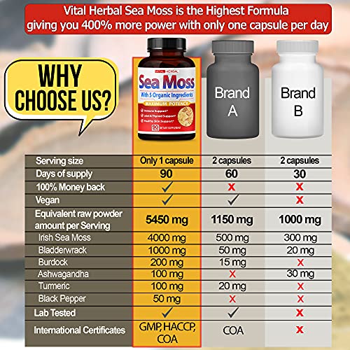 VITAL HERBAL Irish Sea Moss Capsules Equivalent to 5450mg - Maximum Potency VITAL HERBALUS supplements