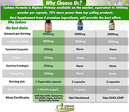 2 Packs Organic Forskolin Supplements Capsules 5000mg with Turmeric, Arjuna, Garcinia Cambogia Organic CadaneUS supplements