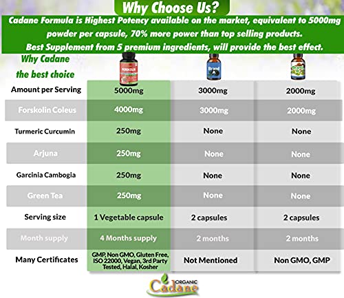 2 Packs Organic Forskolin Supplements Capsules 5000mg with Turmeric, Arjuna, Garcinia Cambogia Organic CadaneAu supplements