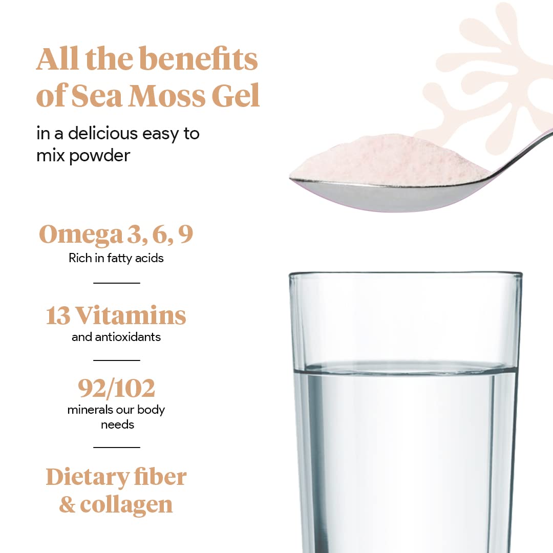 Organic Sea Moss Superfood Powder with Ashwagandha, Beet Root, and Maca Atlantic NaturalsUS supplements