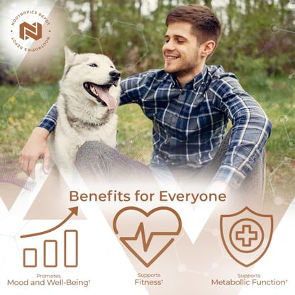 Nootropics Depot Fenugreek Extract Capsules | 500mg | 60 ct | 2.5% Trigonelline Nootropics DepotUS supplements