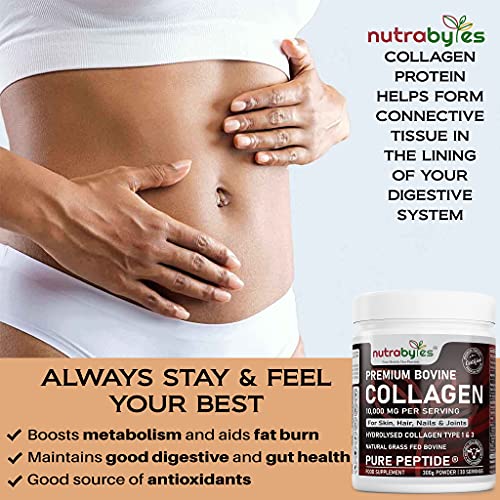 Pure Hydrolysed Collagen Powder 10000mg Bovine Type 1 & 3 Unflavoured|High Strength Protein Peptides for Women & Men NUTRABYTESAu supplements