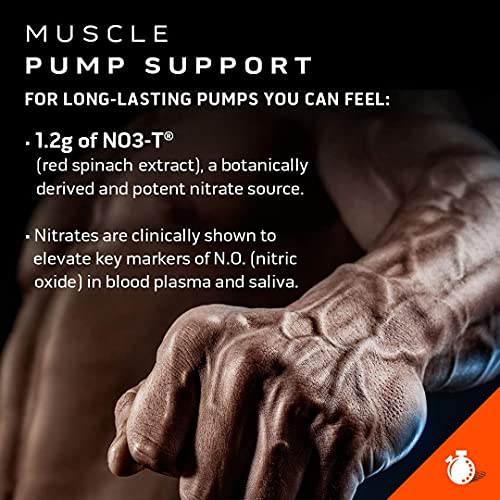 Pre Workout for Men & Women | MuscleTech Shatter Elite Pre-Workout | Preworkout MuscleTechUS supplements