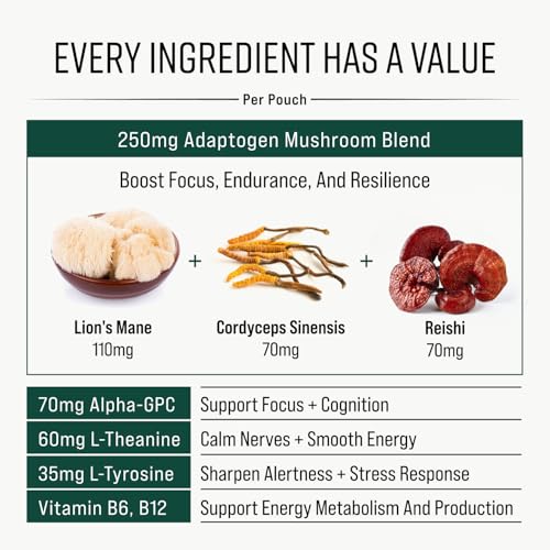 Adaptogen Mushroom Nootropic Pouches (4 Pack Bundle) - 250mg Mushroom Blend + 165mg Energy Blend, Nicotine Free & Caffeine Free, Ultra Pouch with Lion's Mane, Cordyceps, Reishi, Alpha-GPC, L-Theanine GGGJAu supplements