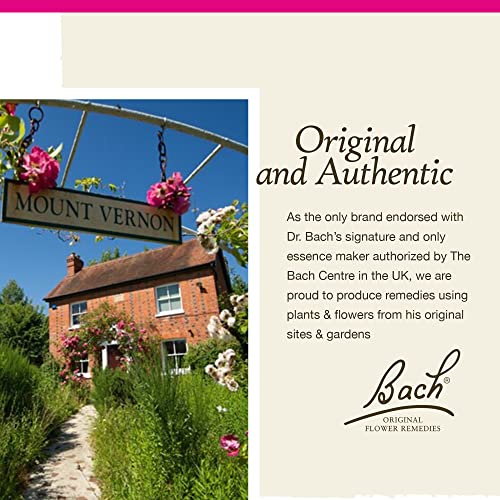 Bach Original Flower Remedies, Star of Bethlehem for Grief and Shock (Non-Alcohol Formula) BachAu supplements
