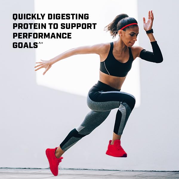 GNC Pro Performance 100% Whey Protein Powder - Chocolate Supreme, 25 Servings GNCUS supplements