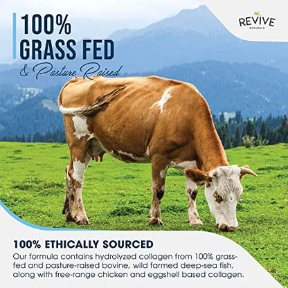 Multi Collagen Protein Capsules - Types I, II, III, V & X - Hydrolysed Grass Fed Bovine, Wild Caught Marine Revive NaturalsUS supplements