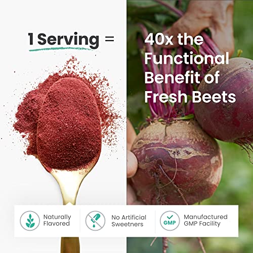 HumanN SuperBeets - Beet Root Powder - Nitric Oxide Boost for Blood Pressure, Circulation & Heart Health Support - Non-GMO Superfood Supplement - Natural Black Cherry Flavor, 30 Servings humanNUS supplements