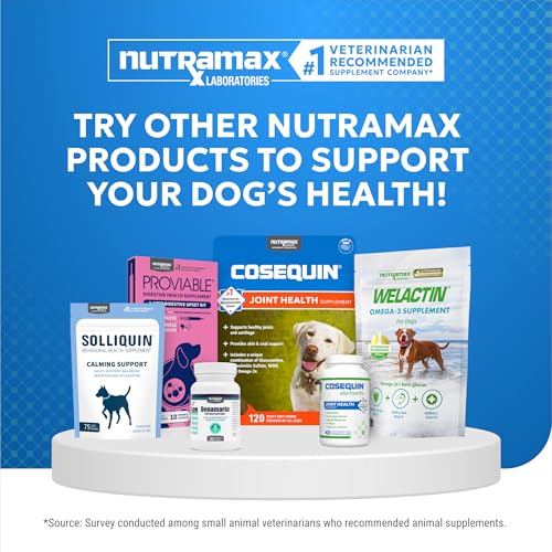 Nutramax Cosequin Elements Dog Joint Health Supplement with Glucosamine, Green Lipped Mussel, Omega-3s, Eggshell Membrane, Hyaluronic Acid, & Postbiotics, 75 Tasty Chewable Tablets for Dogs Nutramax LaboratoriesAu supplements