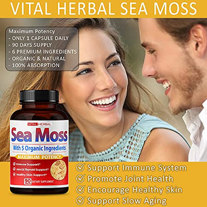 VITAL HERBAL Irish Sea Moss Capsules Equivalent to 5450mg - Maximum Potency VITAL HERBALUS supplements