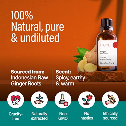 H’ana Pure Ginger Oil for Belly Fat & Pain - 100% Natural Therapeutic Grade Ginger Essentia H'anaUS supplements
