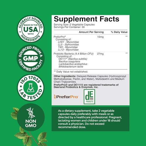 Prebiotics and Probiotics Gut Health Supplement - Super Potent Digestive Health Acidophil Natures CraftUS supplements