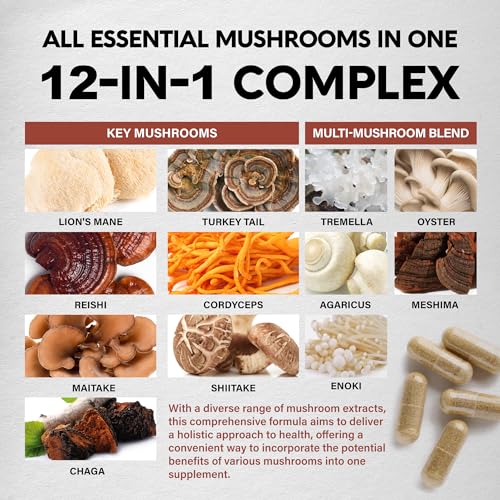 Mushroom Supplement - Organic Lion's Mane | Turkey Tail | Chaga | Cordyceps | Reishi NUTRAHARMONYUS supplements