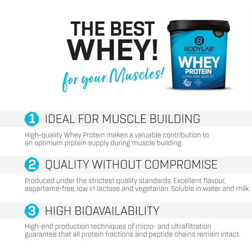 Bodylab24 Whey Protein Powder Milk Chocolate 1kg, Protein-Shake for Your Workout Bodylab24Au supplements