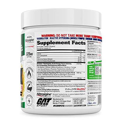 GAT SPORT NITRAFLEX Burn, Pre Workout Thermogenic Powder, Apple Melon, 30 Servings GAT SPORTUS supplements