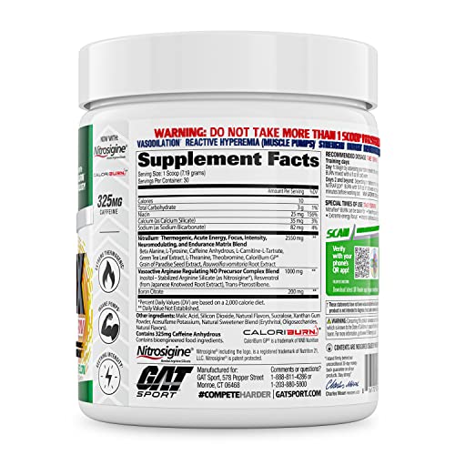 GAT SPORT NITRAFLEX Burn, Pre Workout Thermogenic Powder, Apple Melon, 30 Servings GAT SPORTAu supplements