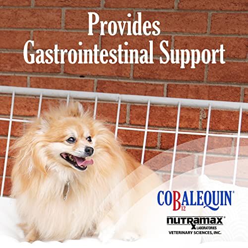 Nutramax Cobalequin B12 Supplement for Cats and Small Dogs, 45 Count (Pack of 1) Nutramax LaboratoriesUS supplements