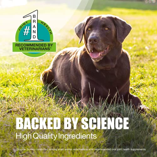 Nutramax Laboratories Dasuquin with MSM Joint Health Supplement for Large Dogs Nutramax LaboratoriesUS supplements