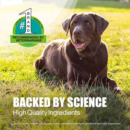 Nutramax Laboratories Dasuquin with MSM Joint Health Supplement for Large Dogs Nutramax LaboratoriesUS supplements