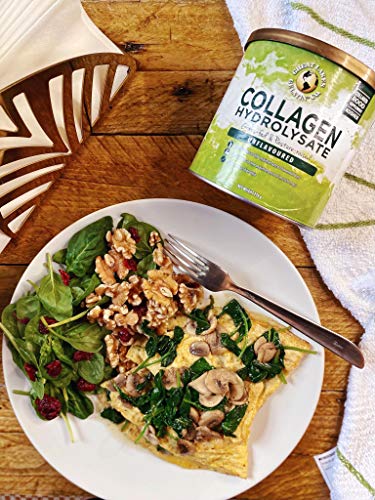 Great Lakes Gelatin Collagen Hydrolysate, Grass-Fed Bovine Hydrolysed Collagen Peptides Protein Powder Supplement, Unflavoured, 226g, Can Great Lakes GelatinUS supplements