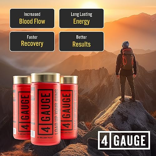 4 Gauge Natural Preworkout Without The Jitters | 30 Servings | Nitric Oxide Booster 4 GaugeAu supplements